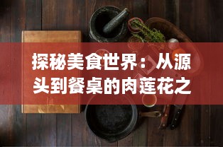 探秘美食世界：从源头到餐桌的肉莲花之旅，一段揭示中国传统烹饪艺术的美味探索 v0.4.2下载